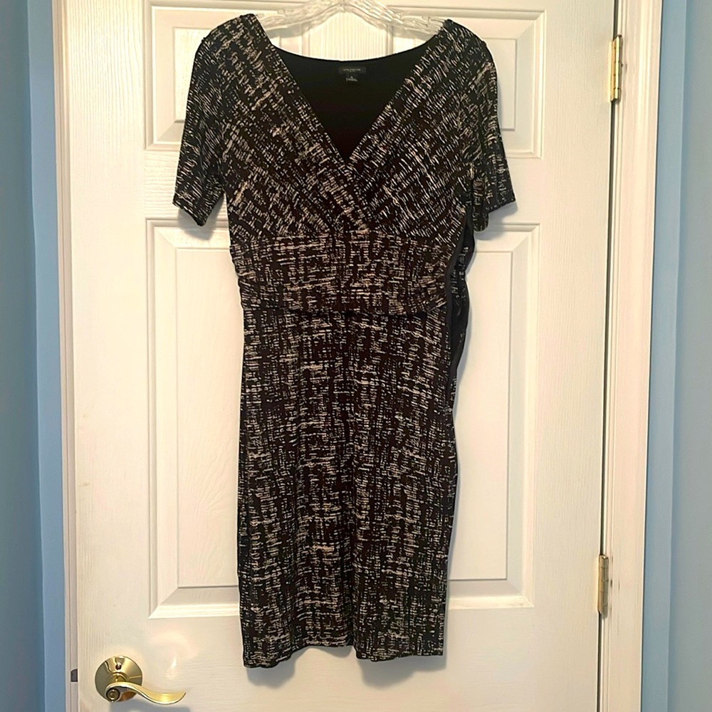 Ann Taylor Dress